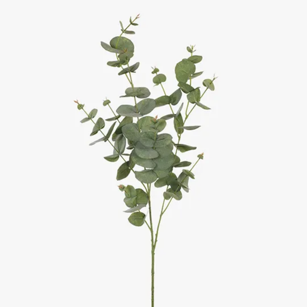 Eucalyptus Silver Dollar 92cm  / Green