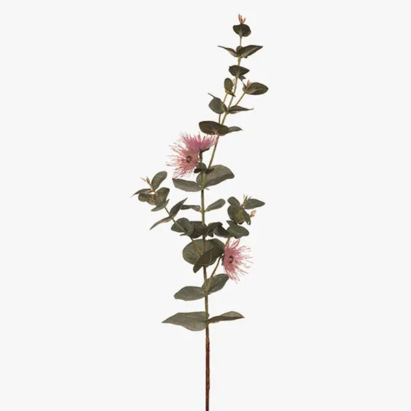 Eucalyptus Flowering Dollar / Pink 76cm