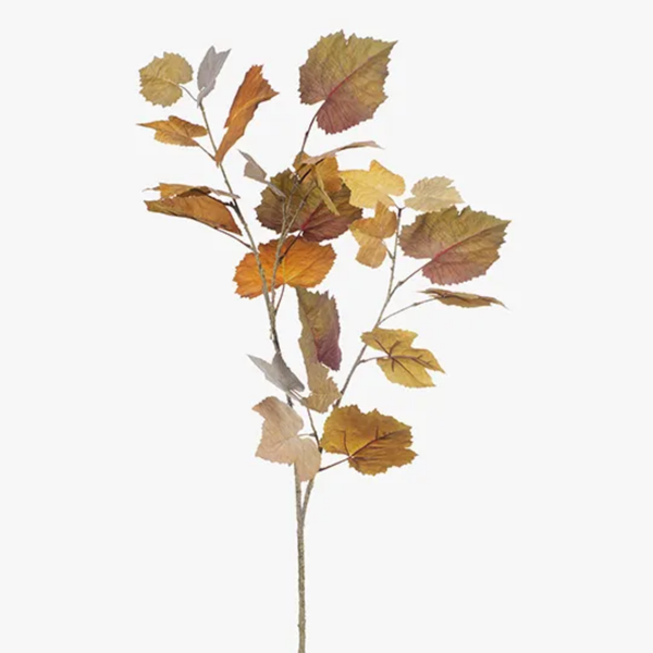 Maple Leaf Spray / Rust