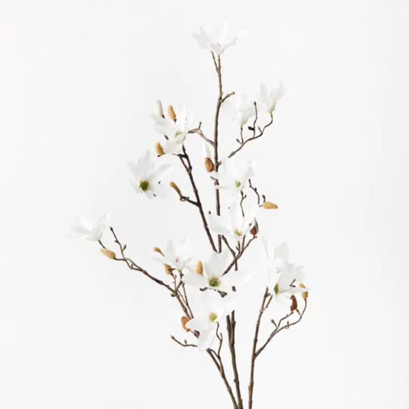Magnolia Tree Spray / White
