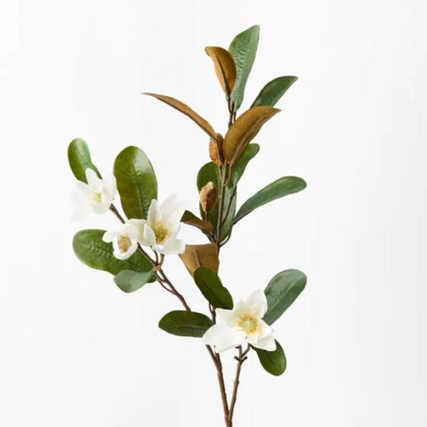 Magnolia Pearl Spray / White