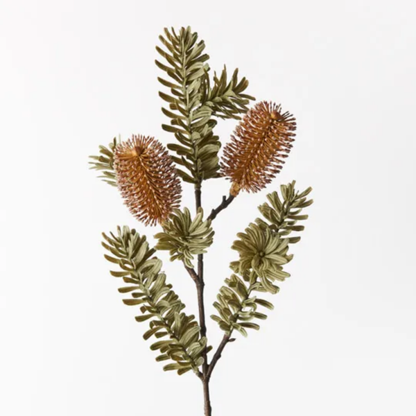 Banksia Spray / Coffee