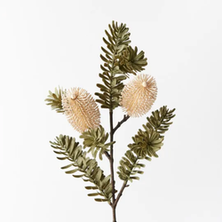 Banksia Spray / Cream