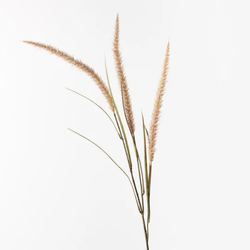 Fountain Grass Spray / Coffee