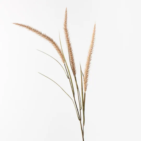 Fountain Grass Spray / Coffee