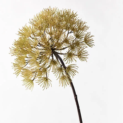 Allium Green 81cm