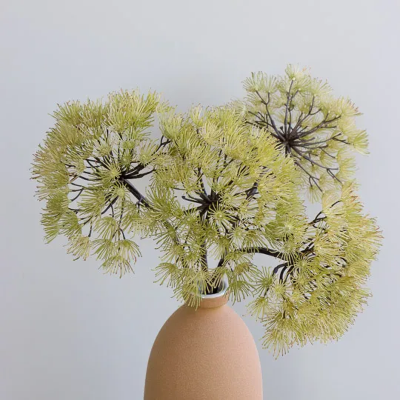 Allium Green 81cm