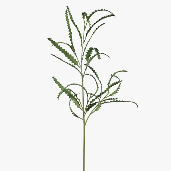 Banksia Leaf Spray