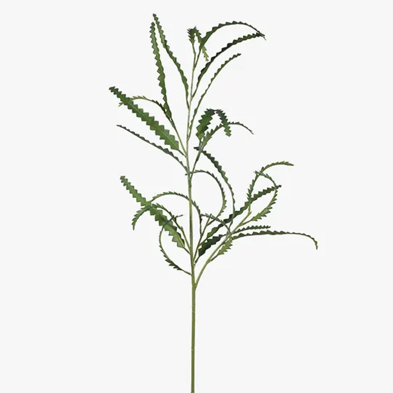 Banksia Leaf Spray