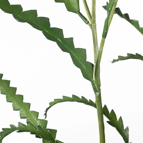 Banksia Leaf Spray