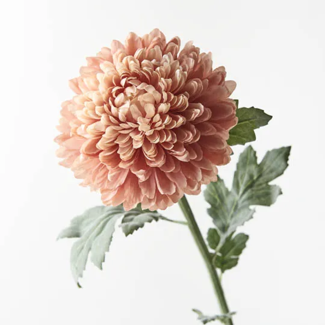 Chrysanthemum Ball Dusty Pink Home Goods Hardware