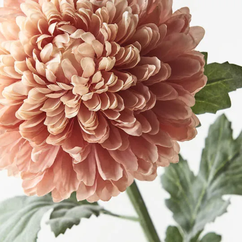 Chrysanthemum Ball Dusty Pink