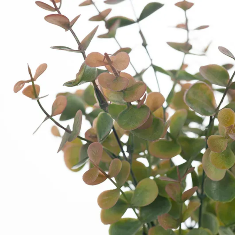 Eucalyptus Bush / Olive Green 32cm