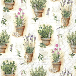 Lunch Napkin / Garden Herbs in  Pots