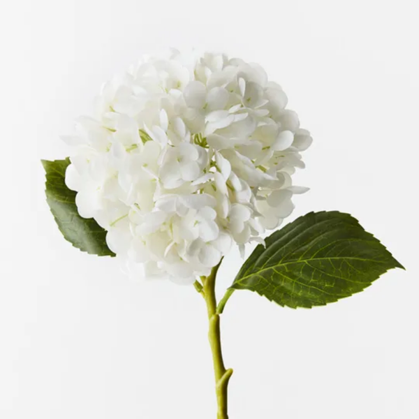 Hydrangea 49cm / Winter White