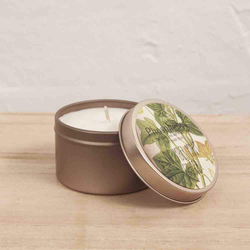 Brass Travel Tin Candle / Cucumber Mint & Ginger