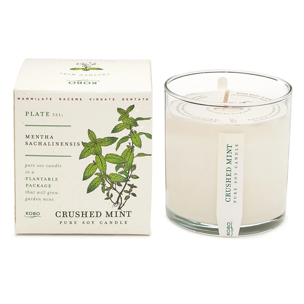 Plant the Box Candle / Crushed Mint