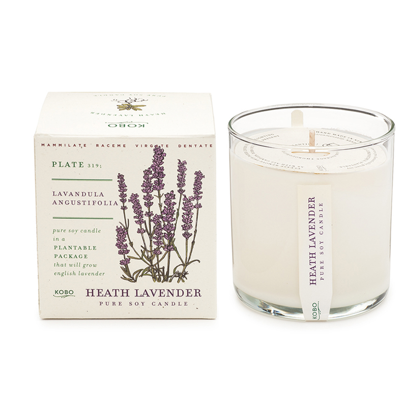 Plant the Box Candle / Heath Lavender