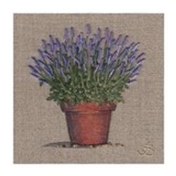 Mini Card / Lavender
