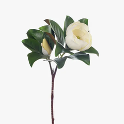 Magnolia Spray 80cm / White