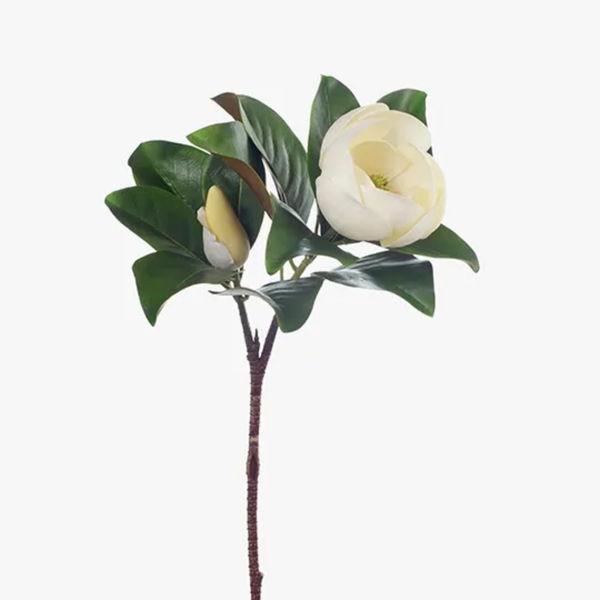 Magnolia Spray 80cm / White