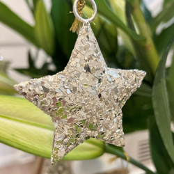 Lucia Metal Star / Champagne