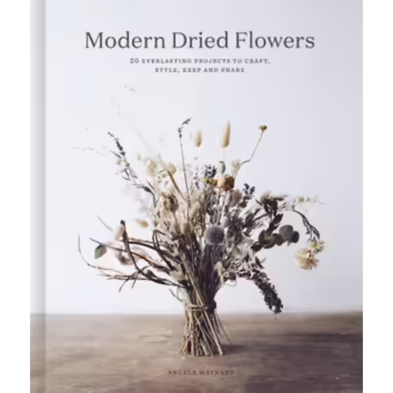 Modern Dried Flowers