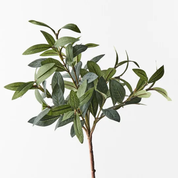 Olive Leaf  40cm / Grey Green