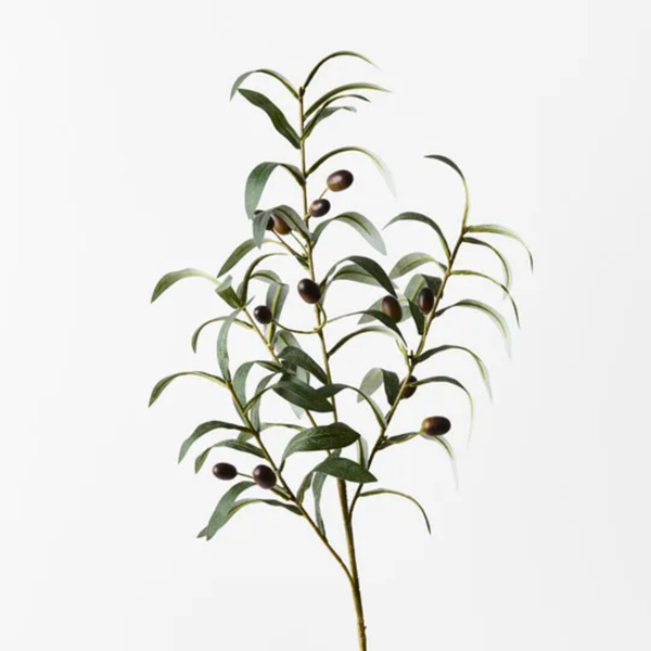 Olive Leaf Spray 72cm / Green