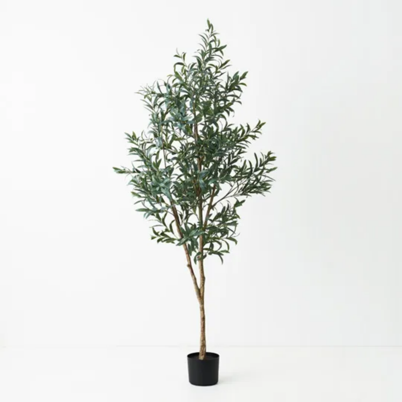Olive Tree 200cm / Grey