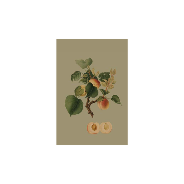 Peaches Card