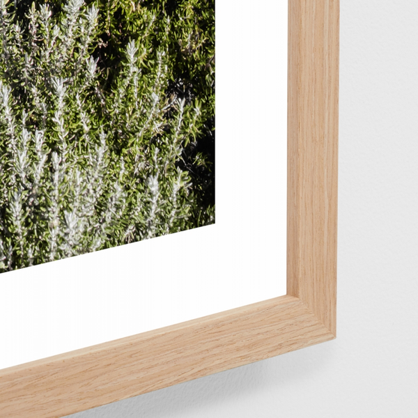 Peninsula Horizon Print  / 103 x 88cm