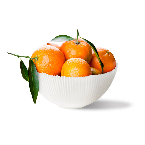 Ribbed Ceramic Bowl Small  / White