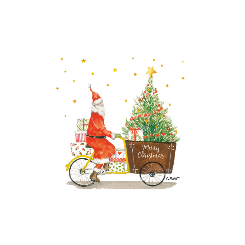Lunch Napkins / Santa Delivery