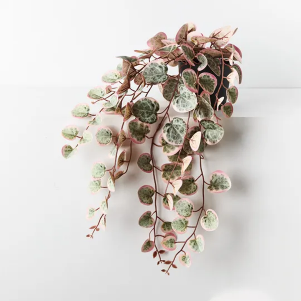 String of Hearts Pot / Pink Green