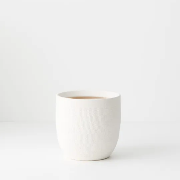 Sundra Pot 16cm / Winter White