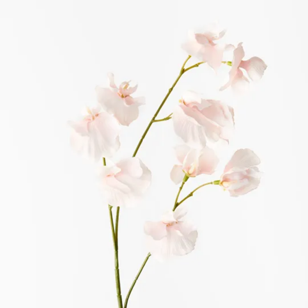 Sweet Pea Spray / Soft Pink