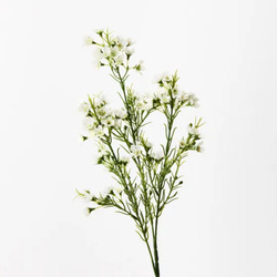 Wax Flower Spray 66cm / White