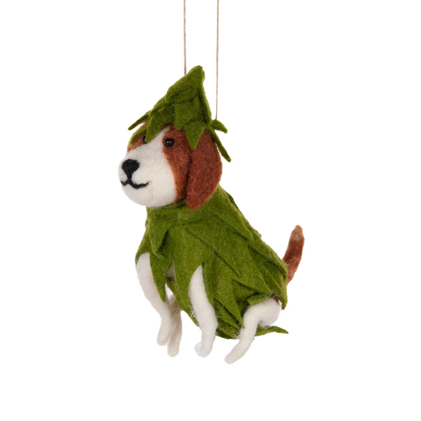 Wool Boxer in Tree Suit