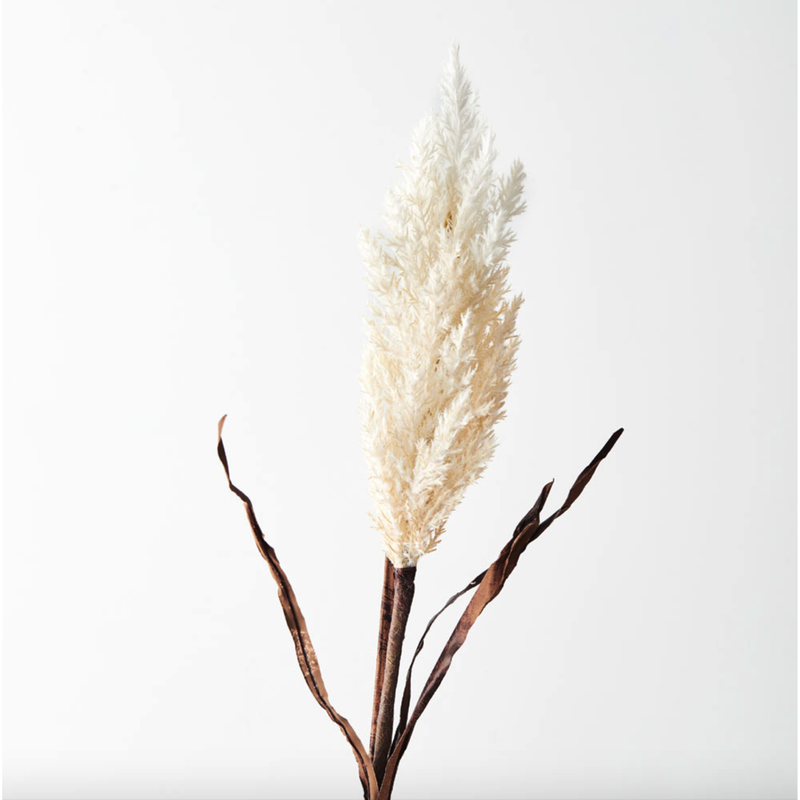 Plume Grass w/leaf Cream 83cml