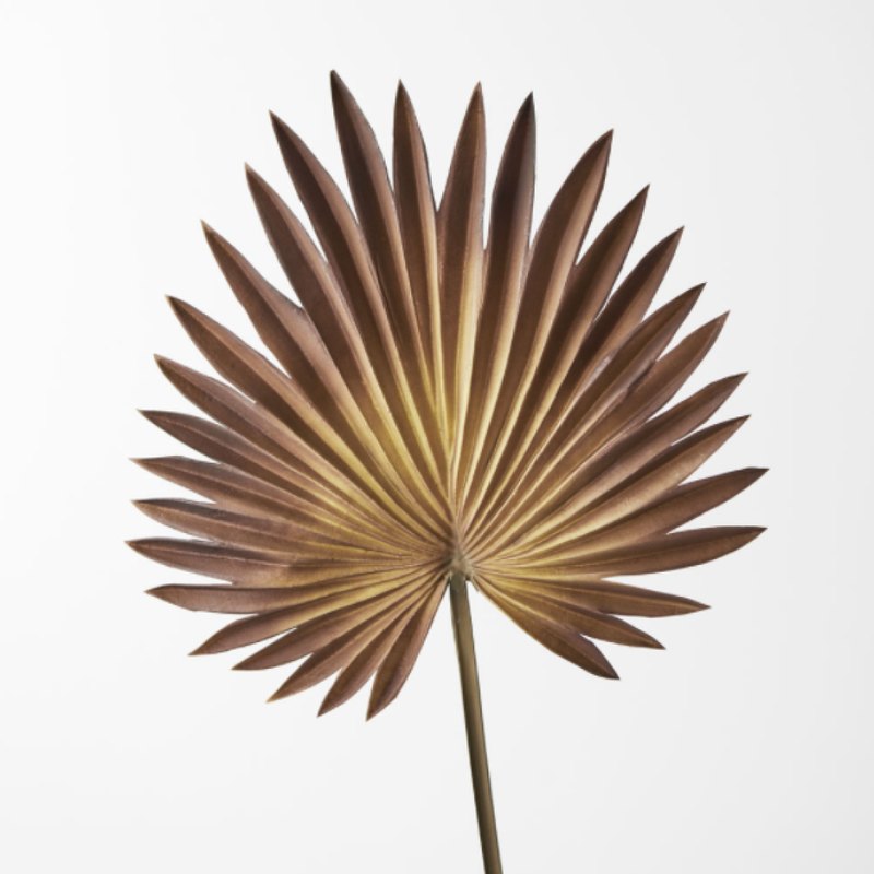 Palm Fan Brown 66cm