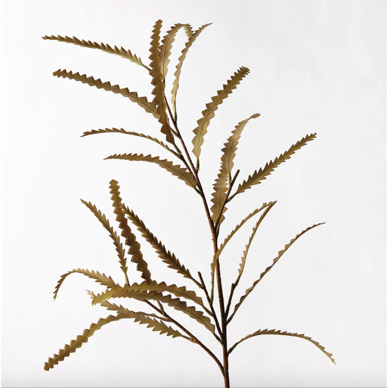 Banksia Leaf Spray Natural 89cm