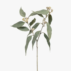 Eucalyptus Tetragona Spray / Grey / 64cm