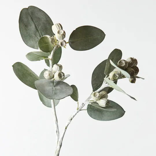 Eucalyptus Tetragona Spray Grey 61cm