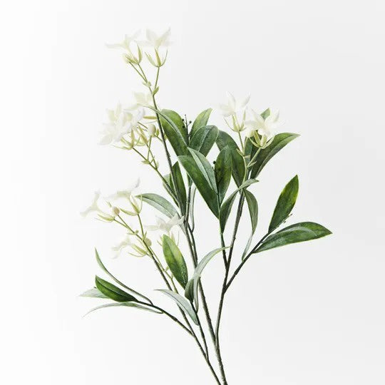 Stephanotis Spray 60cm / White