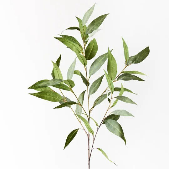 Eucalyptus Spray Grey Green / 91cm