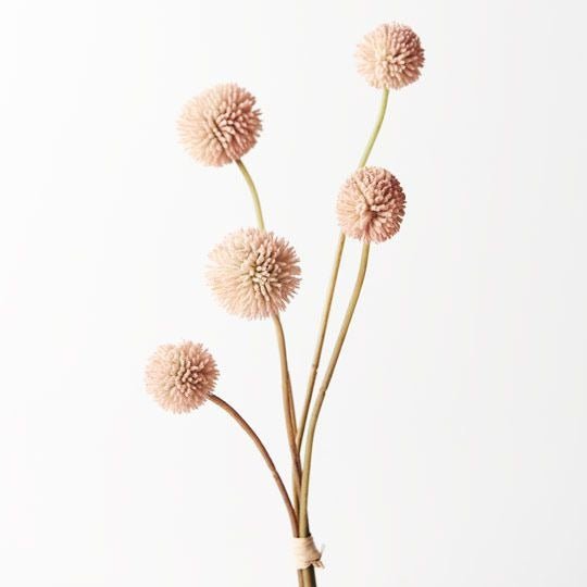 Billy Button Bundle / Light Pink