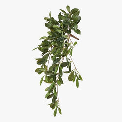 Laurel Leaf Hanging Bush