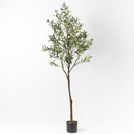 Olive Tree 213cm / Green