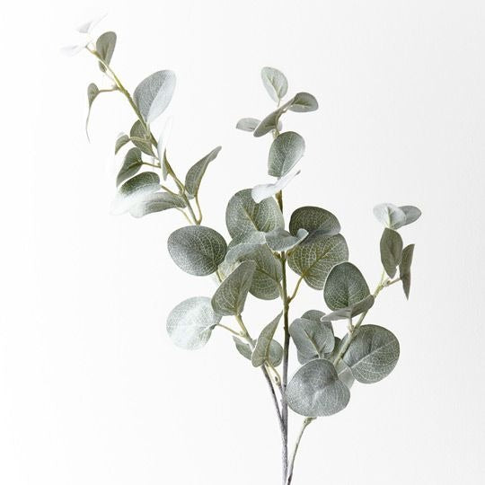 Eucalyptus Spray 71cm / Grey Green